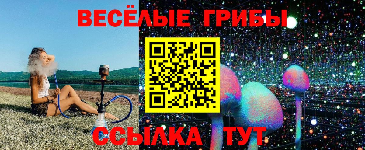 Галлюциногенные грибы GOLDEN TEACHER Химки