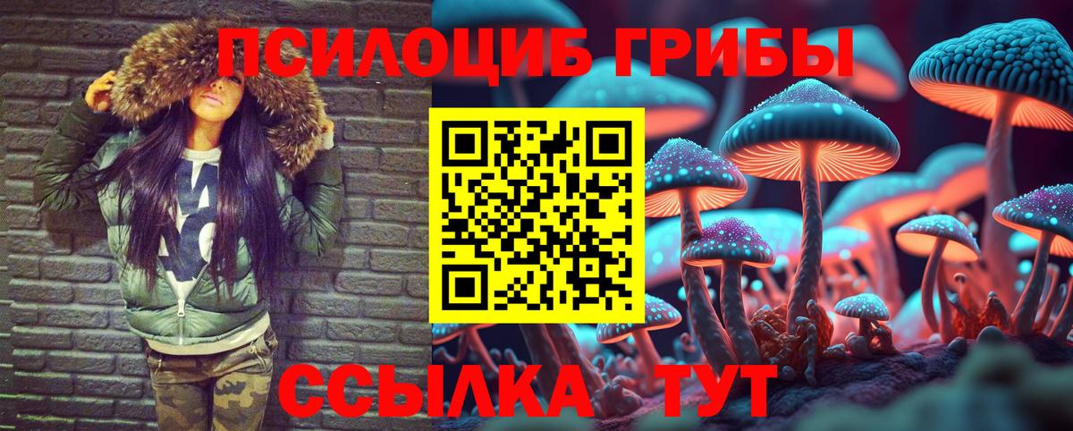 Галлюциногенные грибы MAGIC MUSHROOMS  Вход с VPN  Химки  Псилоцибиновые грибы мухоморы 